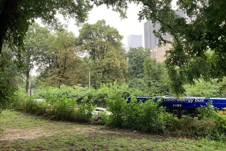 a blue MTA bus cuts through Central Park